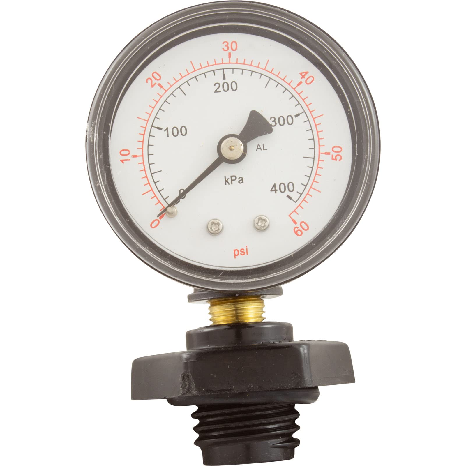 Pentair close-up of 0–60 psi dial for accurate pressure checks