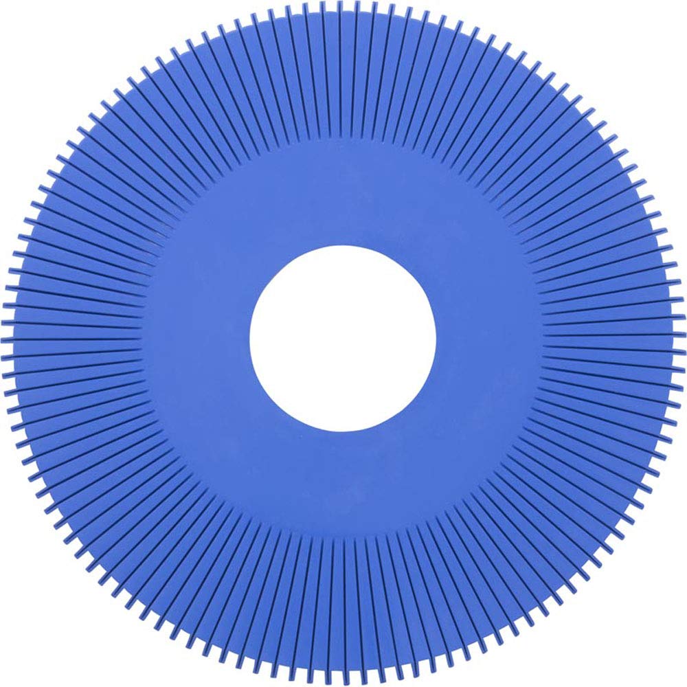 Pentair replacement disc next to ruler showing correct size and fit