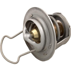 Pentair MasterTemp regulator front view showing component and safe temperature control