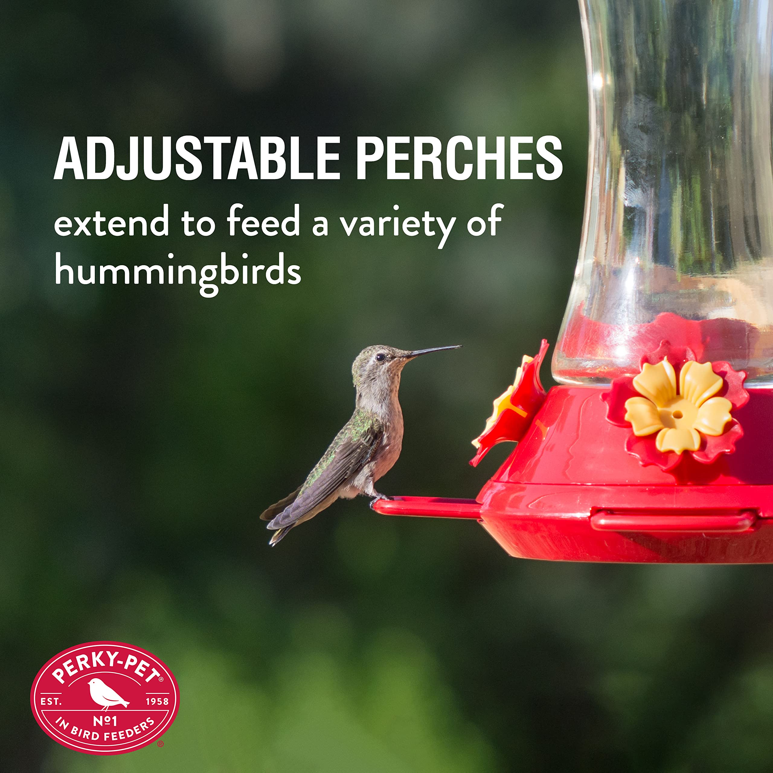 Perky-Pet close-up of flower feeding ports with bee guards for cleaner nectar