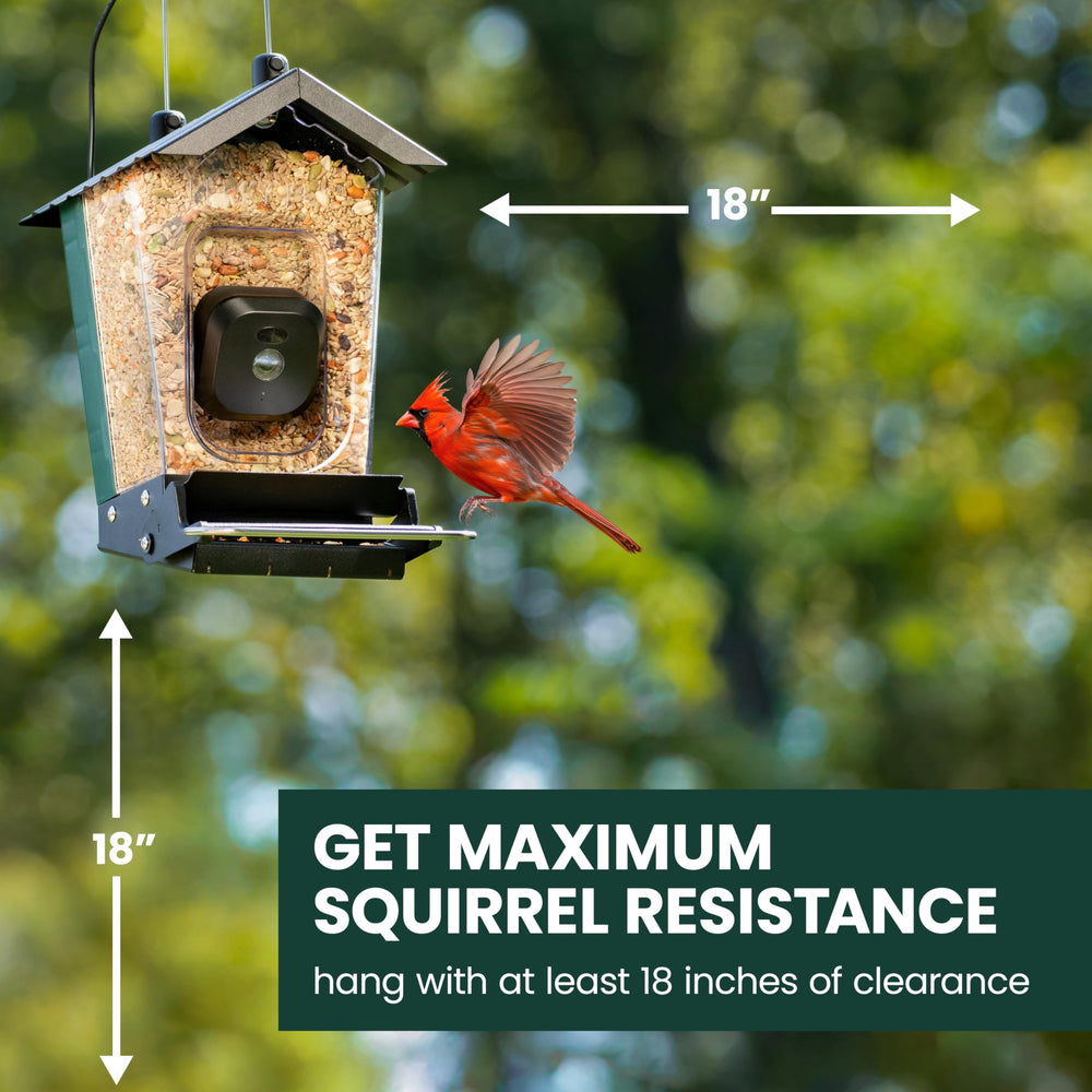 Perky-Pet backyard lifestyle scene showing effortless wildlife watching enjoyment