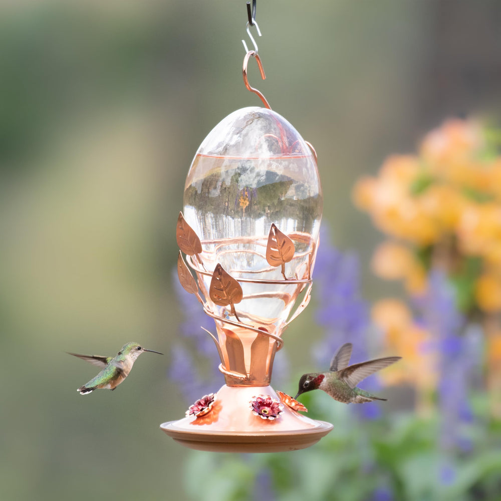 Perky-Pet in backyard setting with hummingbirds demonstrating visitor attraction