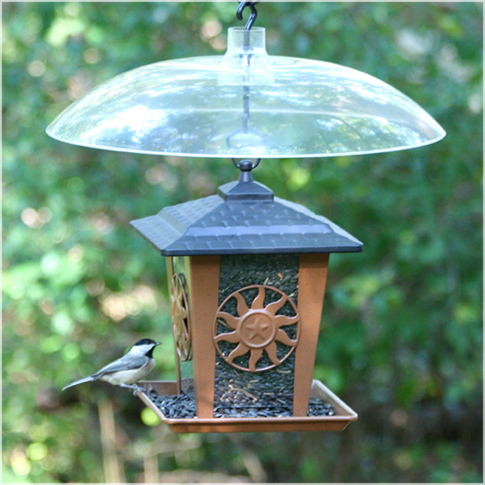 Perky-Pet baffler installed above hanging feeder blocking squirrels while allowing birds access
