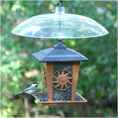 Perky-Pet baffler installed above hanging feeder blocking squirrels while allowing birds access