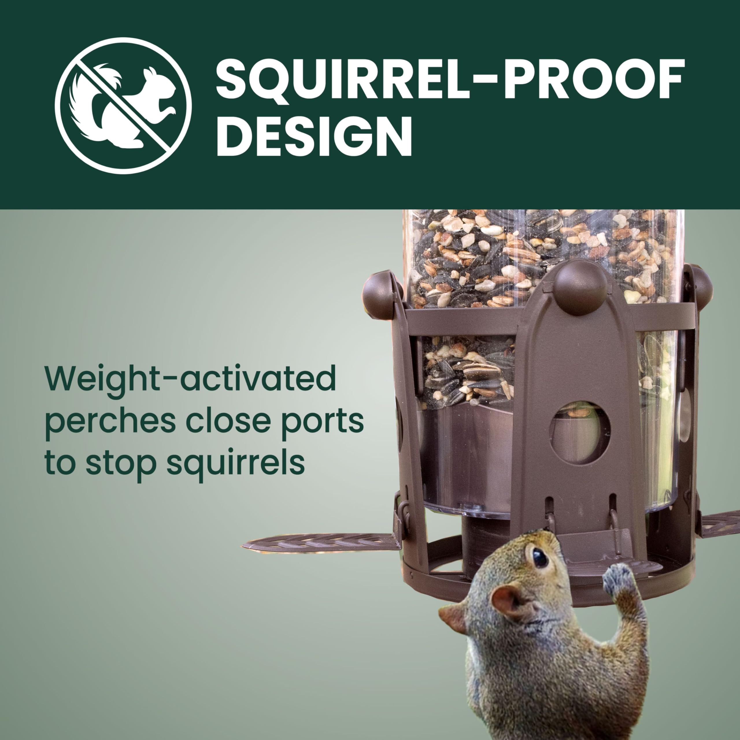 Perky-Pet close-up of Flexport demonstrating comfortable bird access and reduced waste