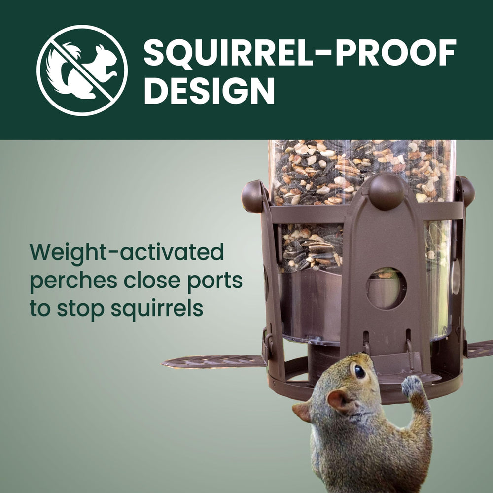 Perky-Pet close-up of Flexport demonstrating comfortable bird access and reduced waste