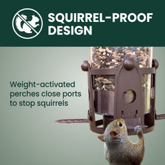 Perky-Pet close-up of Flexport demonstrating comfortable bird access and reduced waste