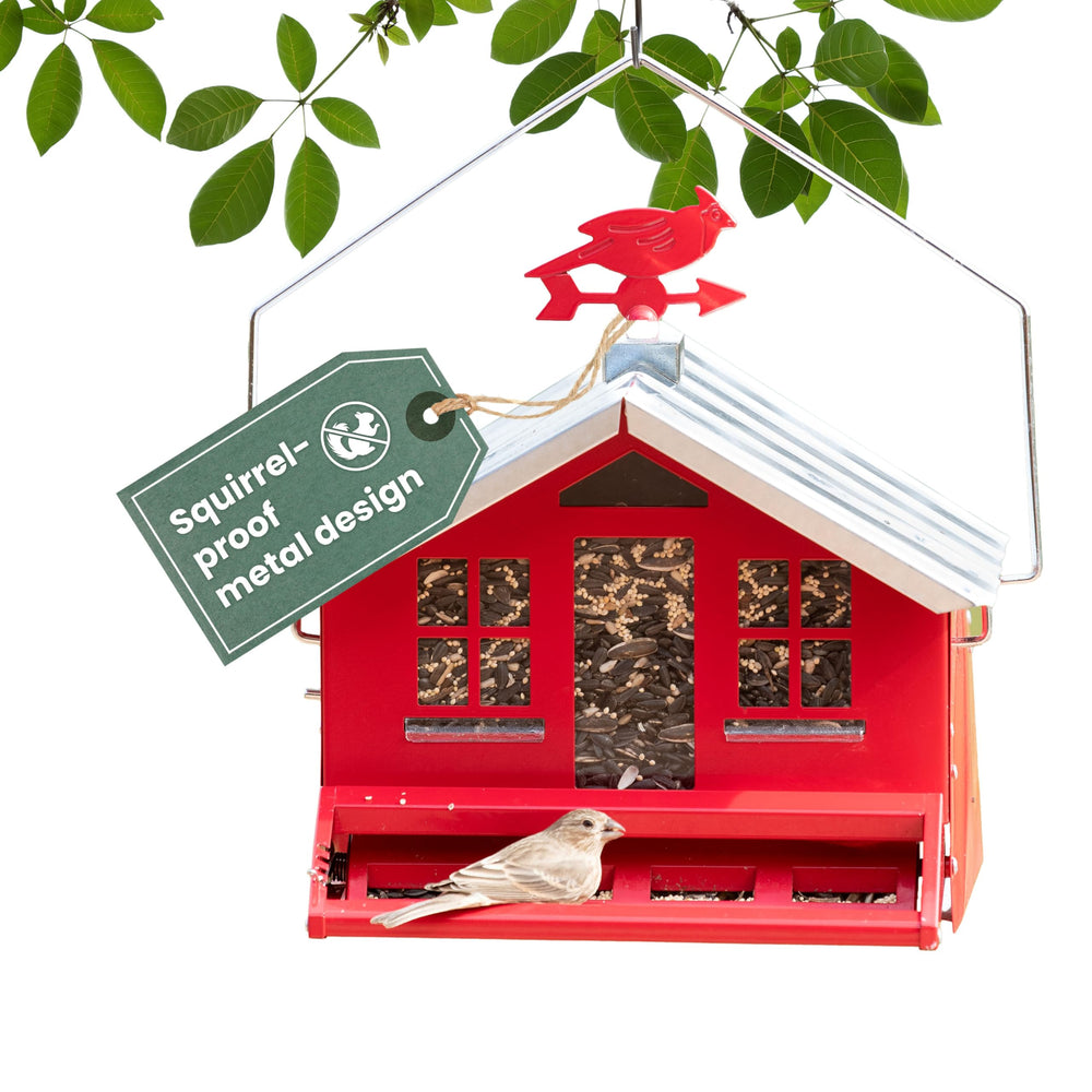Perky-Pet front view of country house feeder showing capacity and rustic appeal