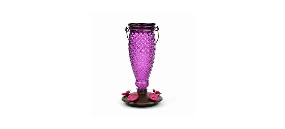 Perky-Pet hanging in a backyard setting creating a bird-friendly outdoor display
