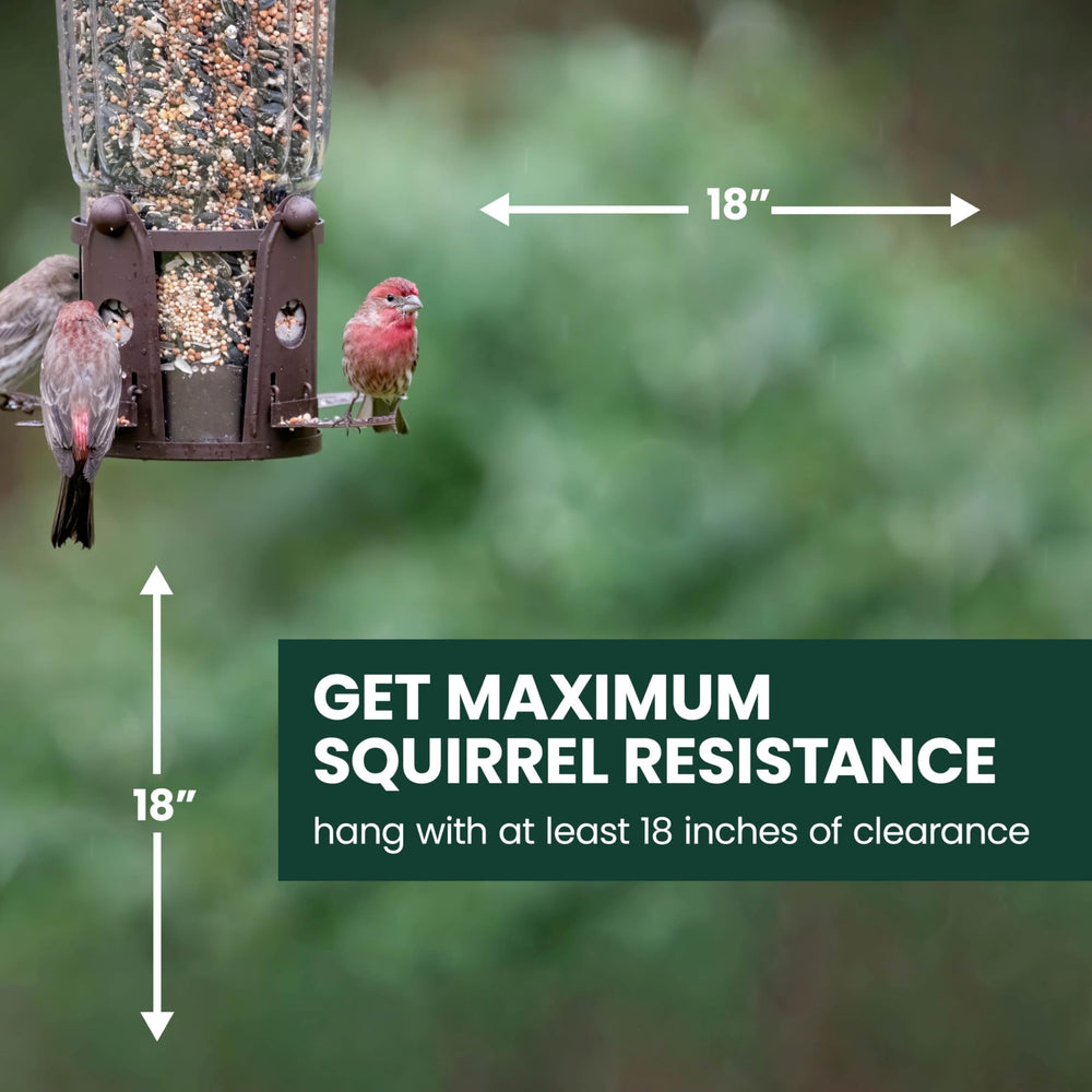 Perky-Pet feeder hanging in yard with birds demonstrating in-use visibility benefits