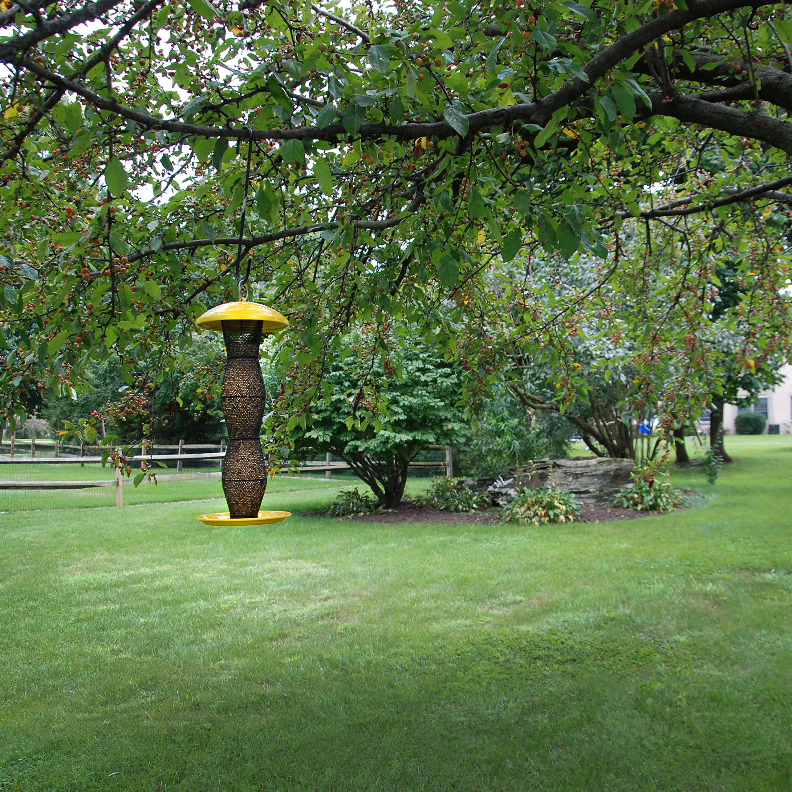 Perky-Pet in-use with finches feeding showing dual perch and cling benefit: attracts birds