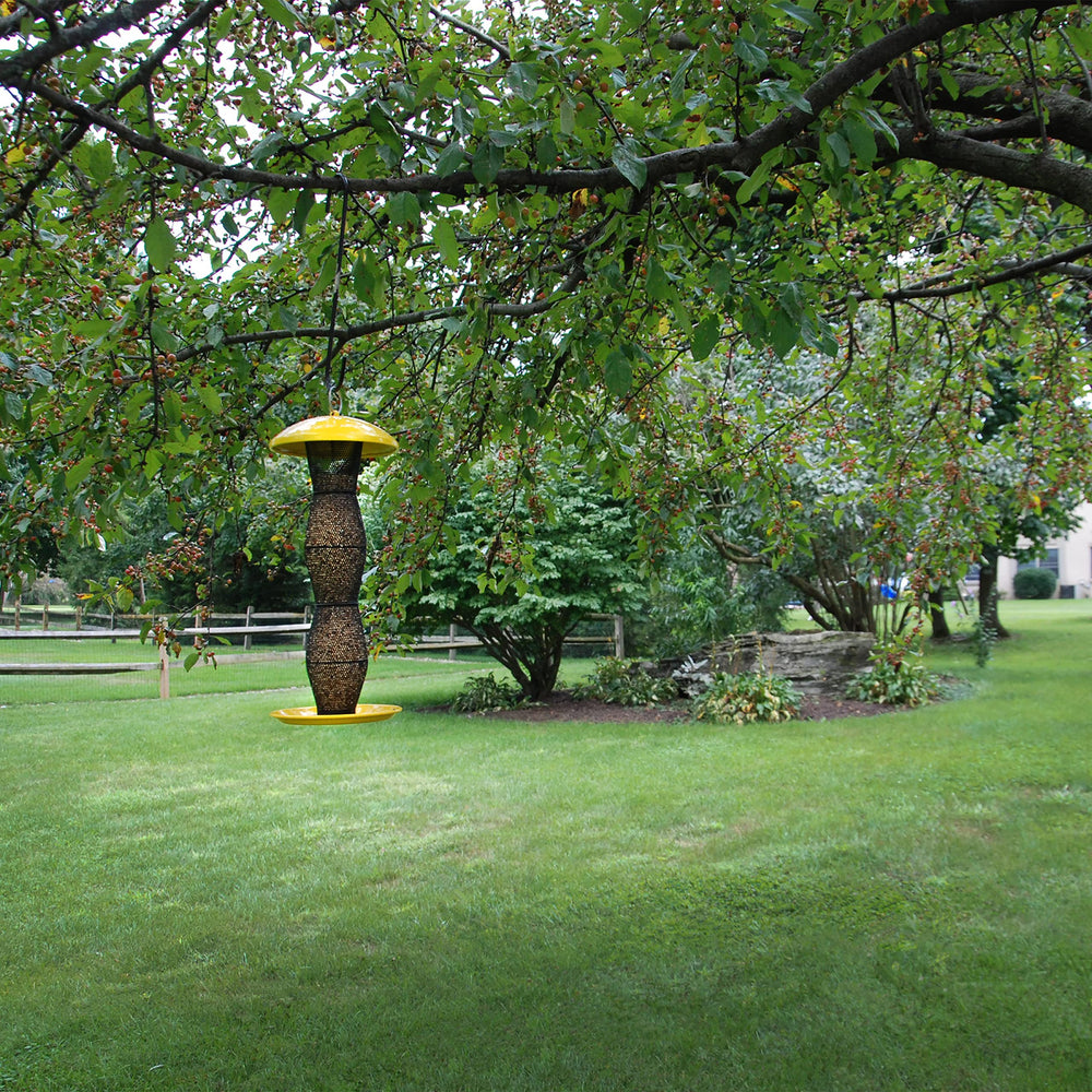 Perky-Pet in-use with finches feeding showing dual perch and cling benefit: attracts birds