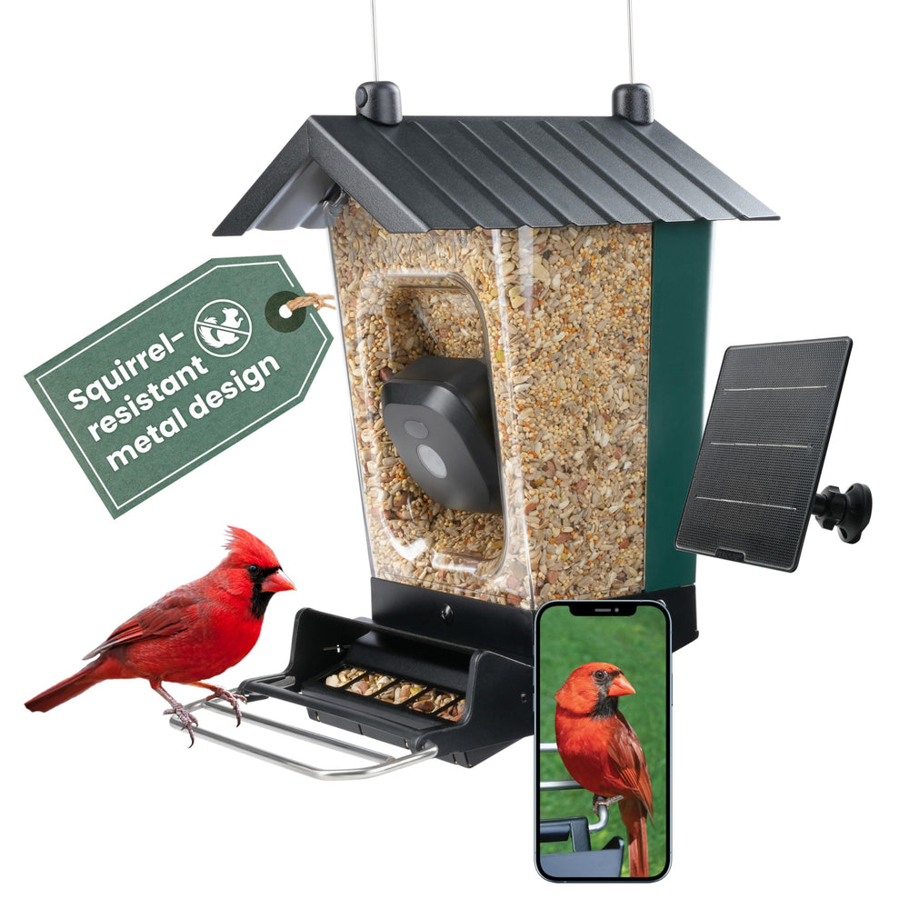 Perky-Pet front view showing feeder and camera for clear bird footage