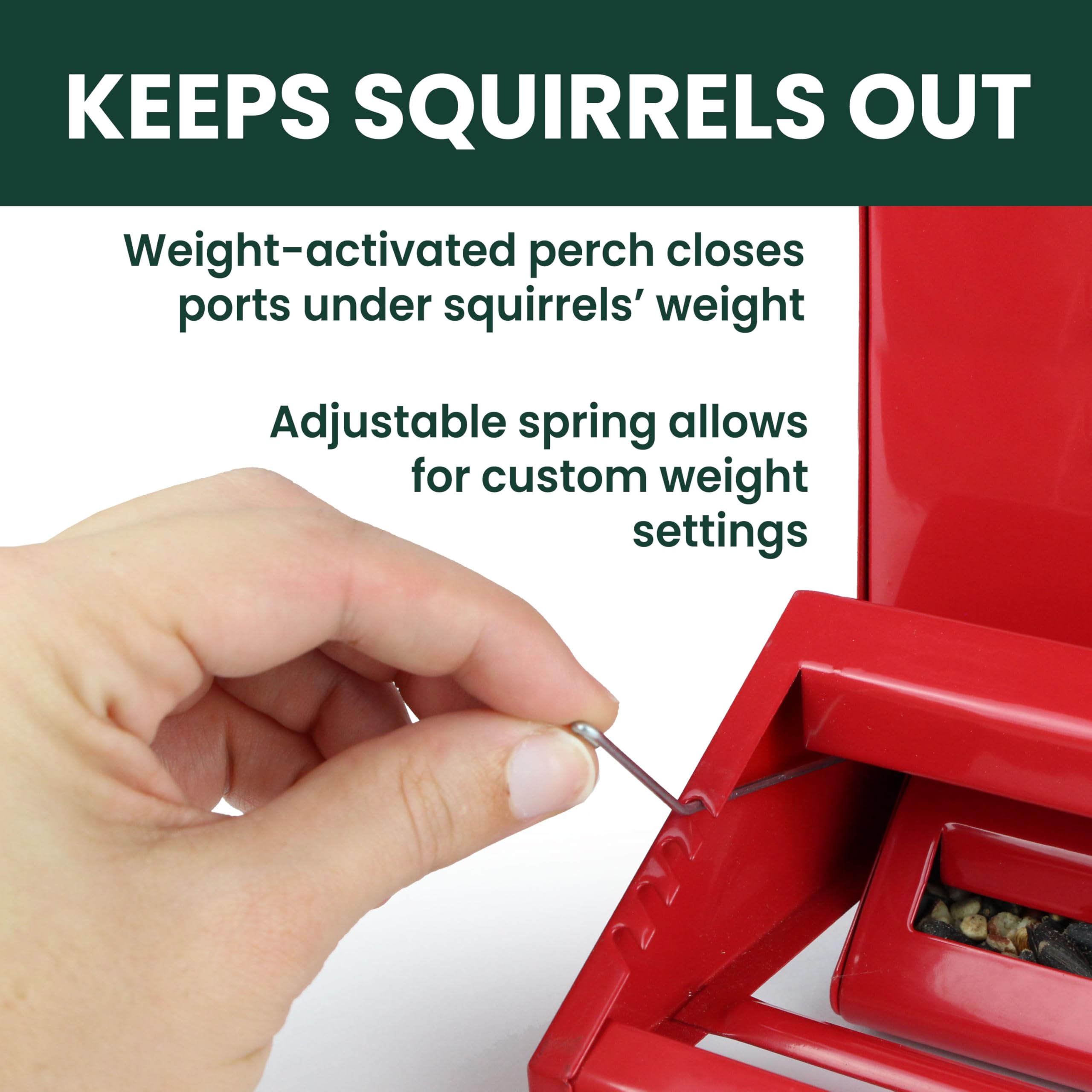 Perky-Pet hanging on hook in yard attracting birds and easy placement benefit