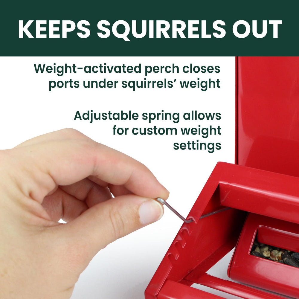 Perky-Pet hanging on hook in yard attracting birds and easy placement benefit