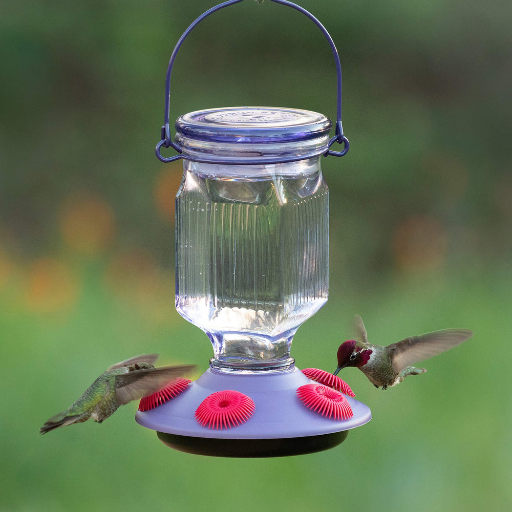Perky-Pet close-up of lifelike flower ports showing flexible petals that entice hummingbirds