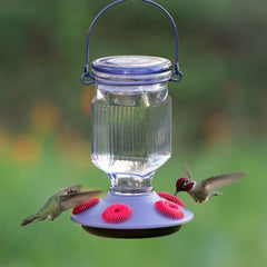 Perky-Pet close-up of lifelike flower ports showing flexible petals that entice hummingbirds