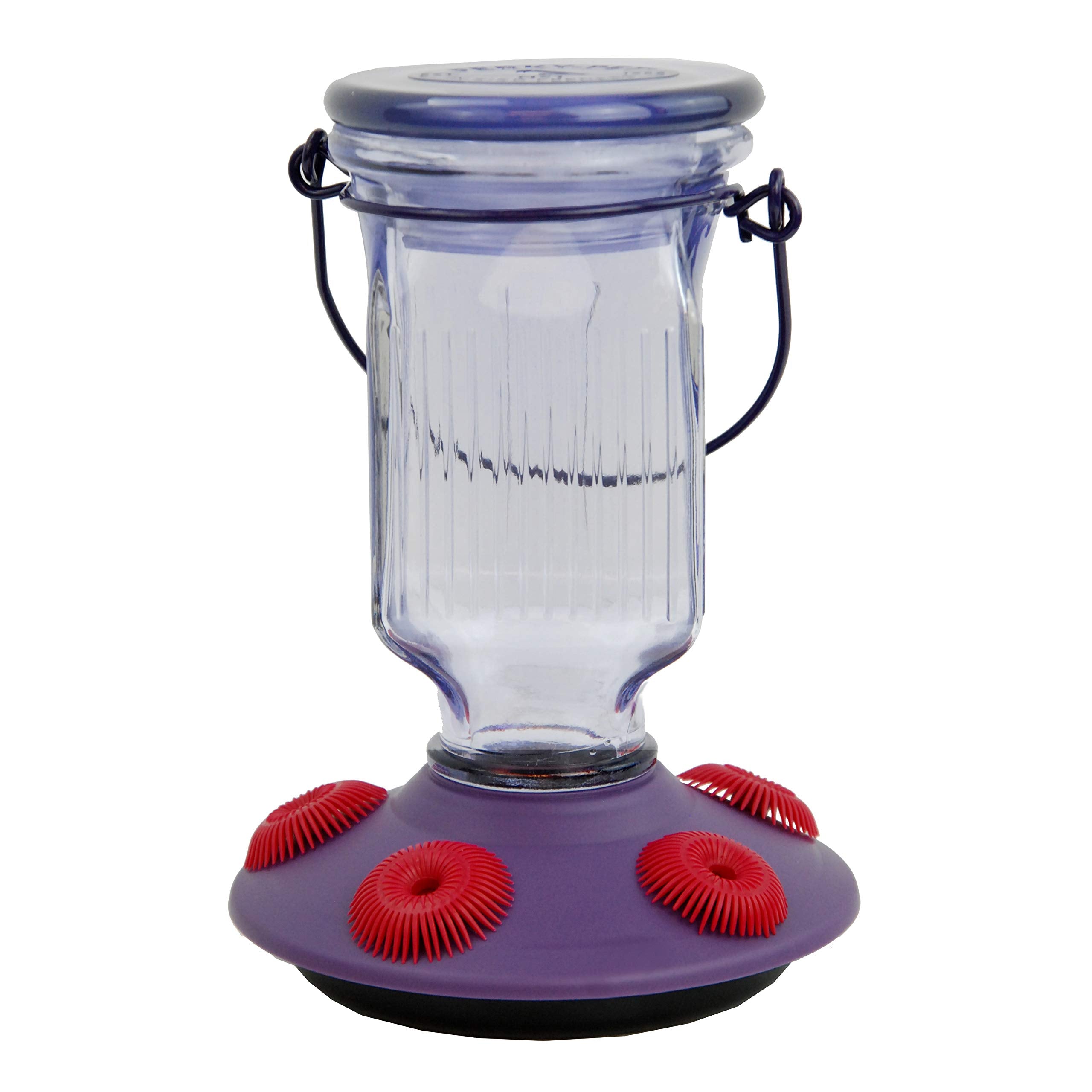 Perky-Pet feeder front view showing purple glass and five feeding ports, attracts birds