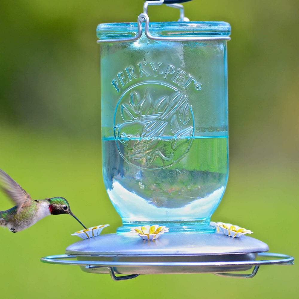 Perky-Pet close-up of five flower feeding ports highlighting multiple-bird access
