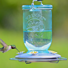 Perky-Pet close-up of five flower feeding ports highlighting multiple-bird access