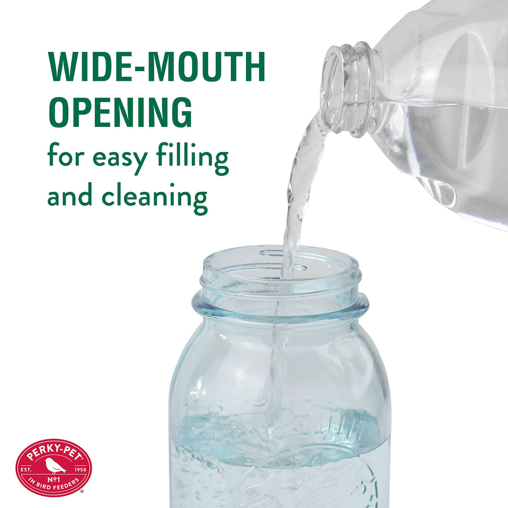 Perky-Pet feeder in use with hummingbird demonstrating attraction and feeding