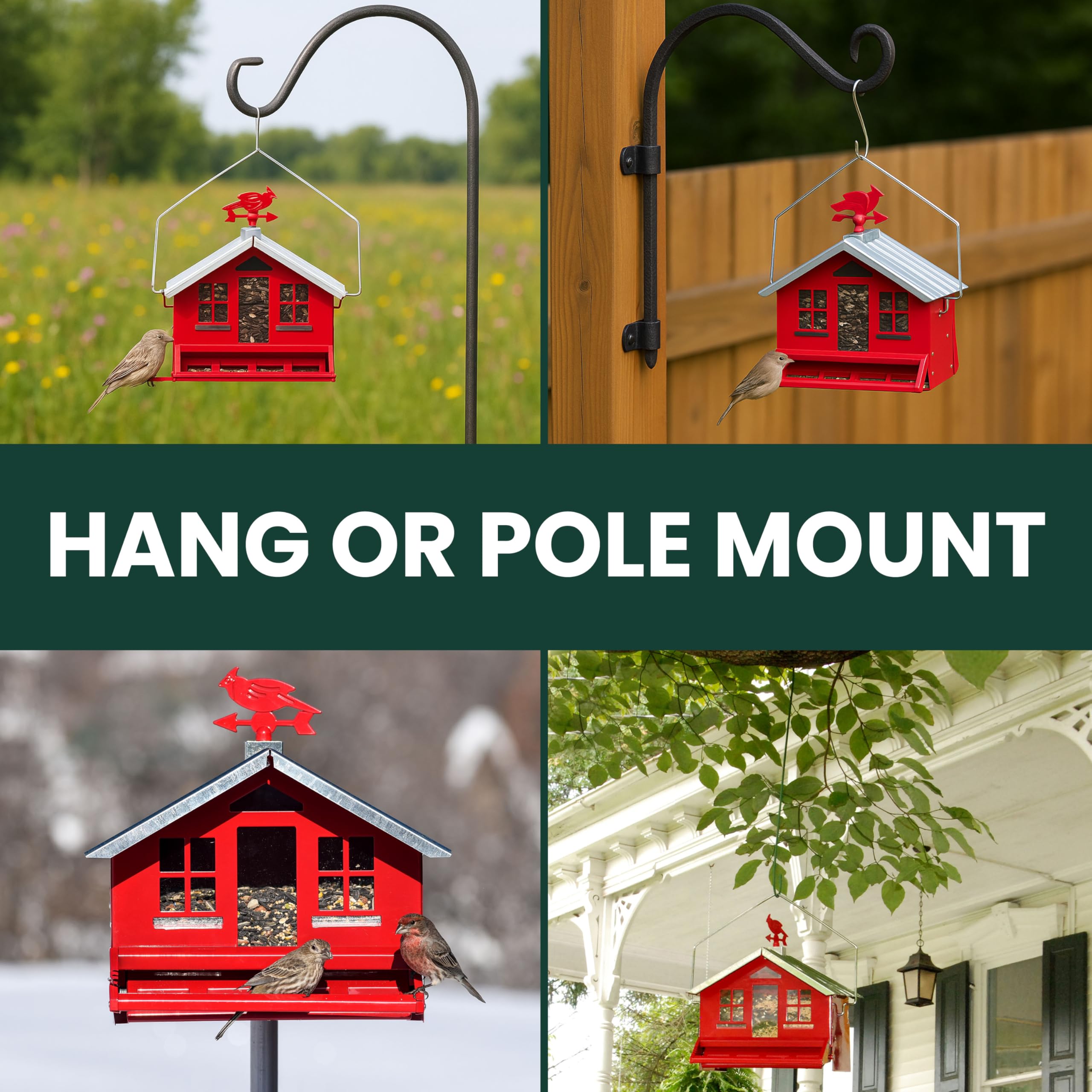 Perky-Pet mounted on pole with human hand for scale and placement clarity
