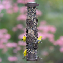 Perky-Pet close-up of Flexport showing reduced seed spillage and sturdiness