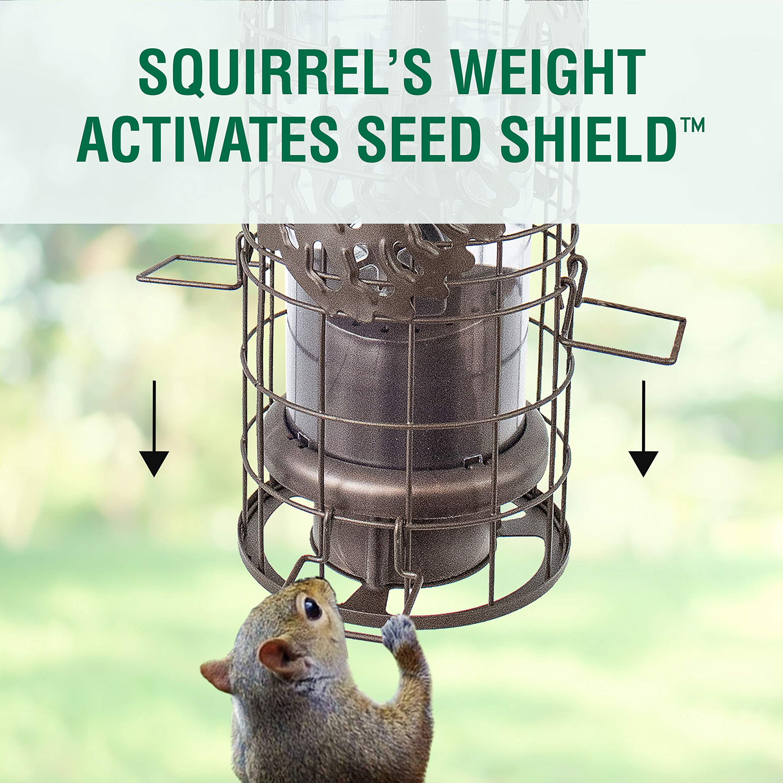 Perky-Pet multi-height perches and ports showing comfortable bird access