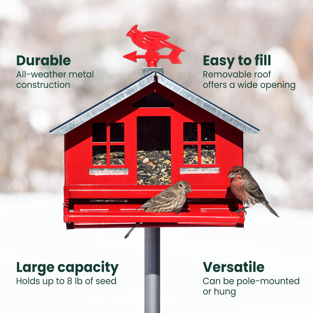 Perky-Pet detailed seed ports showing durable metal ports and bird access