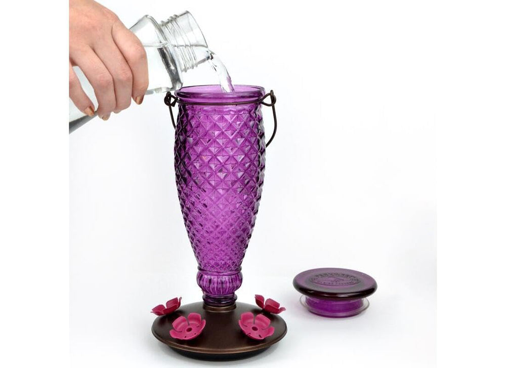 Perky-Pet feeder next to a drinking glass for scale to show 24 ounce capacity