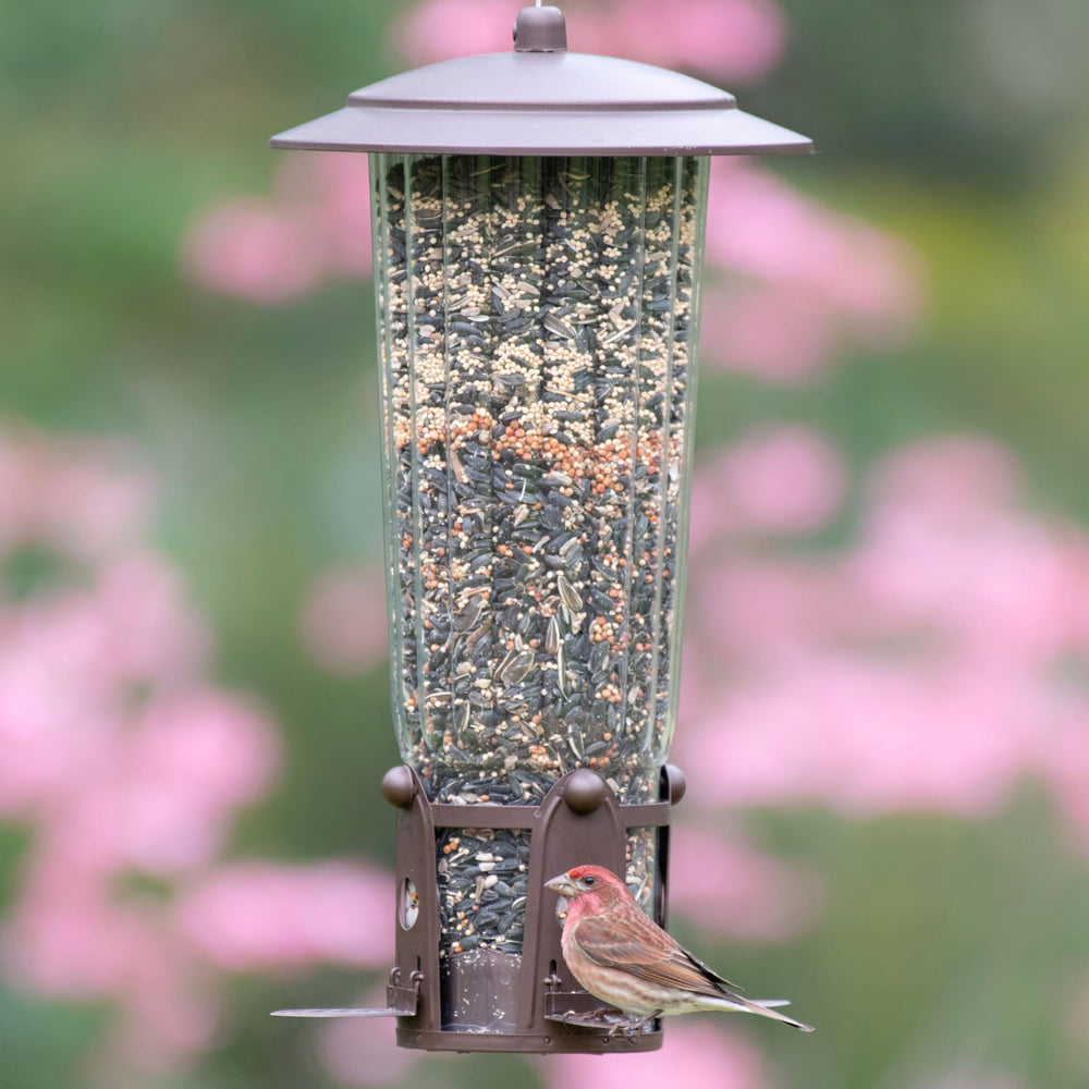 Perky-Pet next to ruler to show scale and required 18-inch clearance for protection