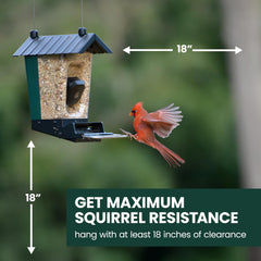 Perky-Pet camera close-up capturing 1080p detail for clear bird images