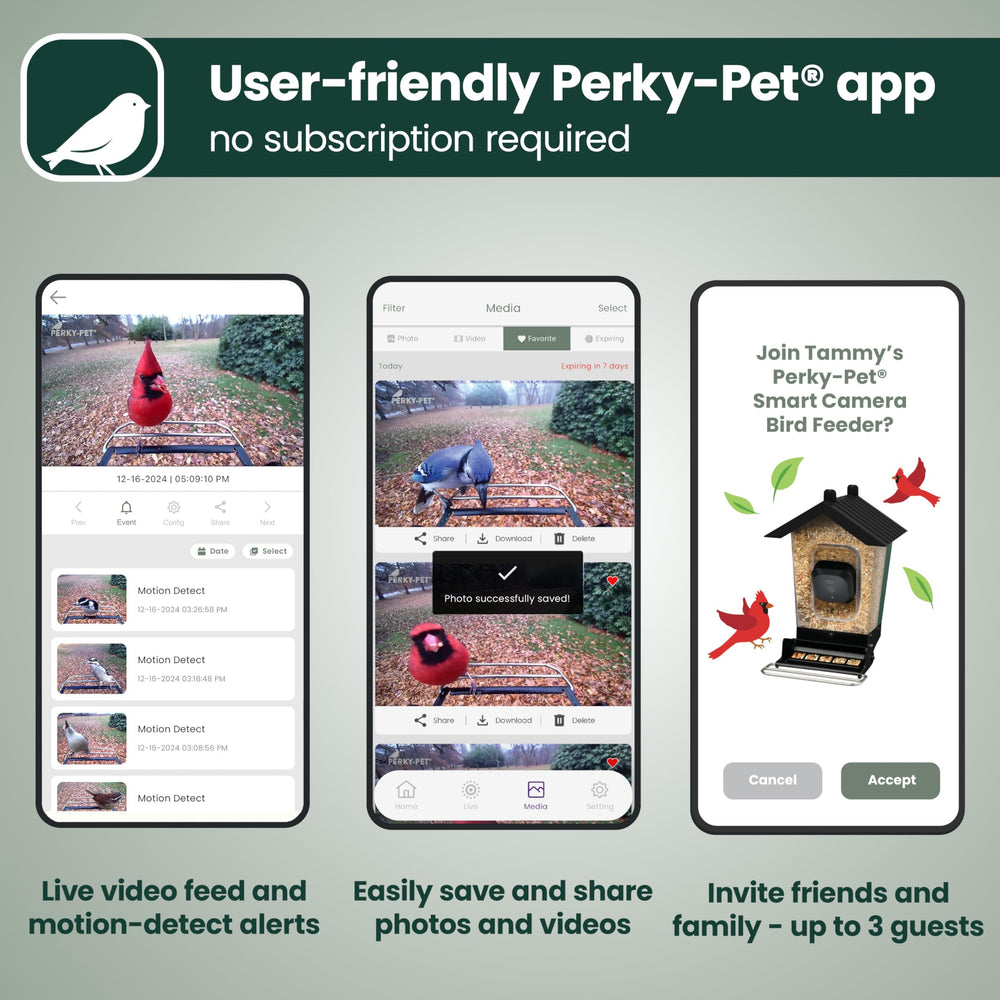 Perky-Pet feeder in backyard with birds, enabling remote wildlife viewing