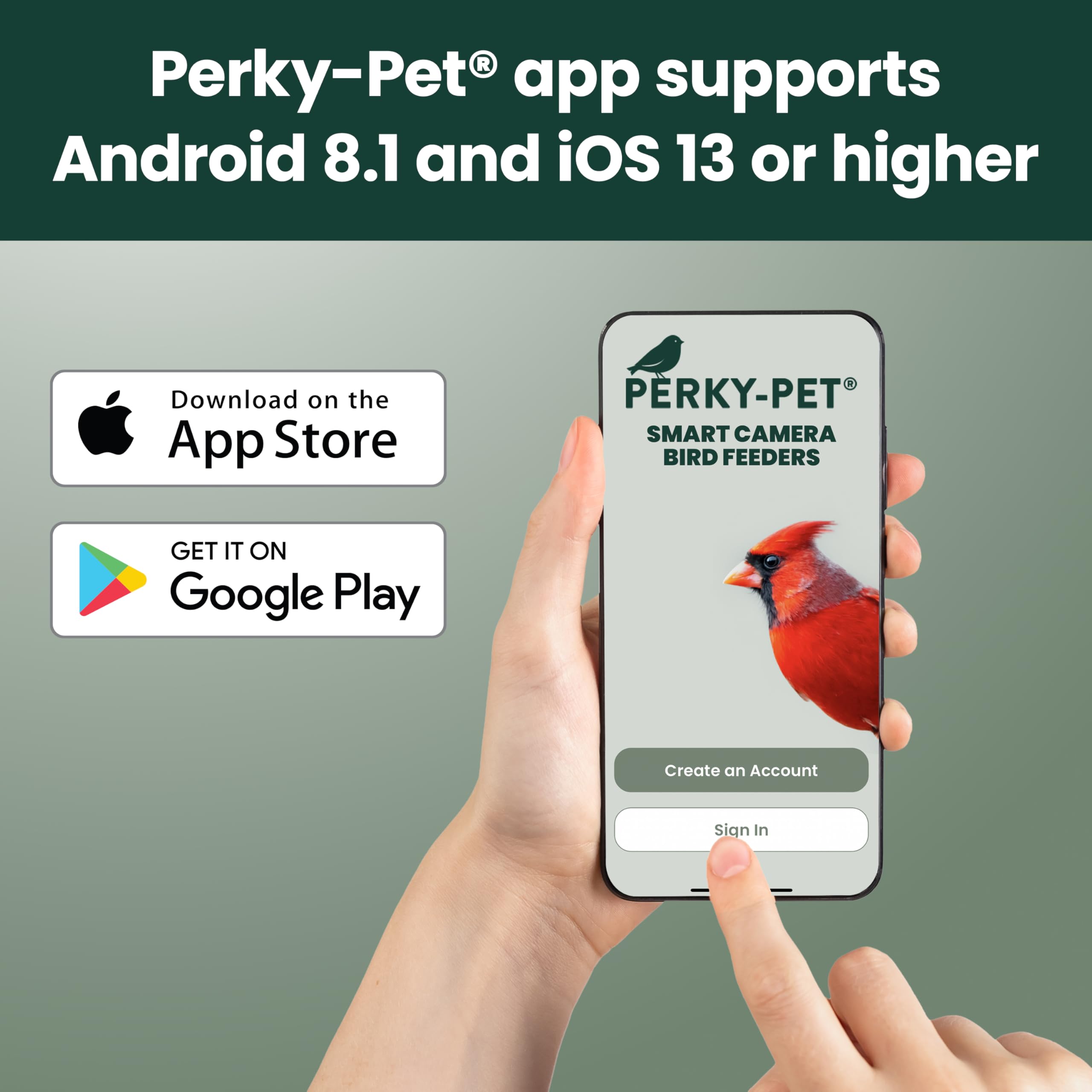 Perky-Pet feeder next to ruler showing size and placement guidance