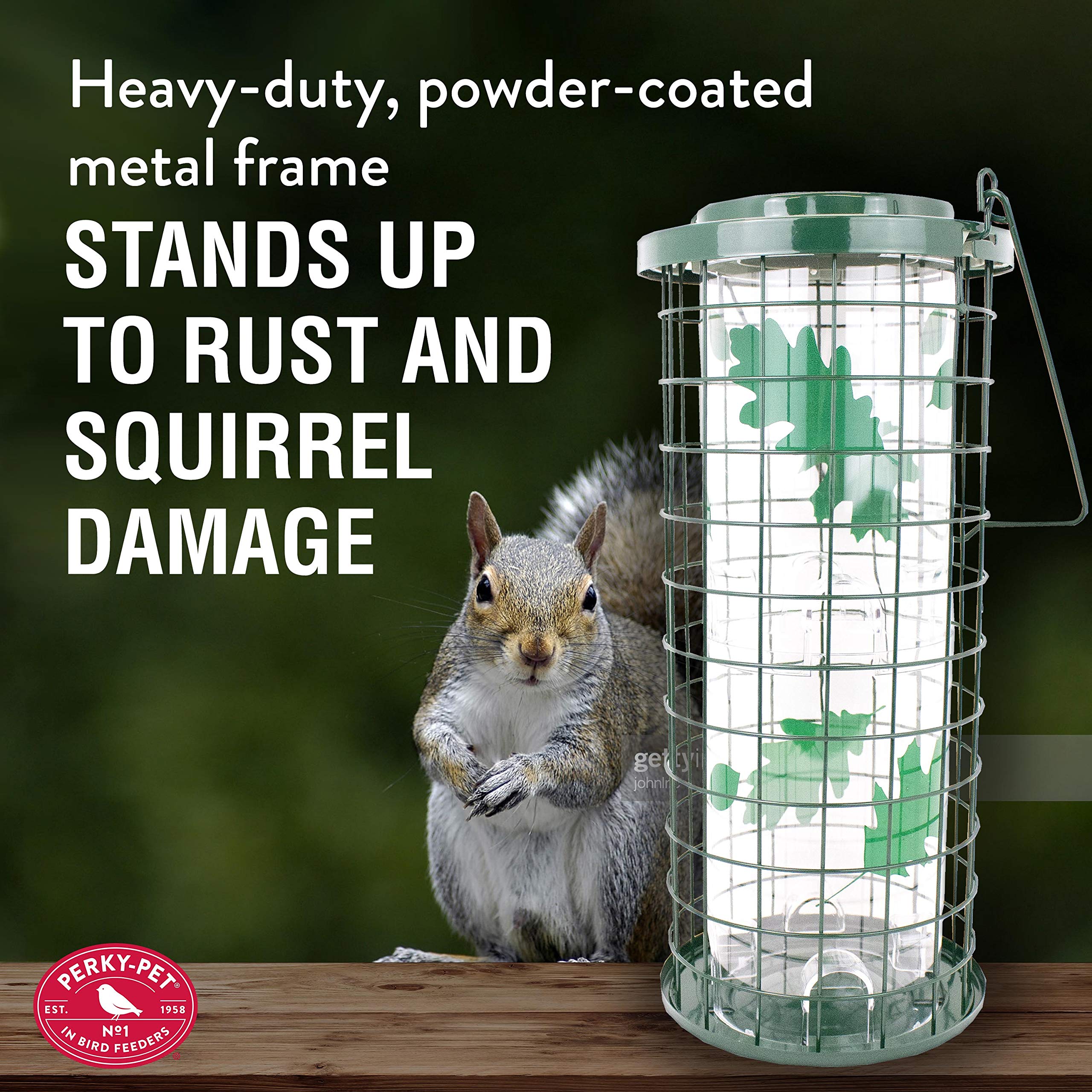 Perky-Pet powder-coated metal frame highlighting durable weather resistance