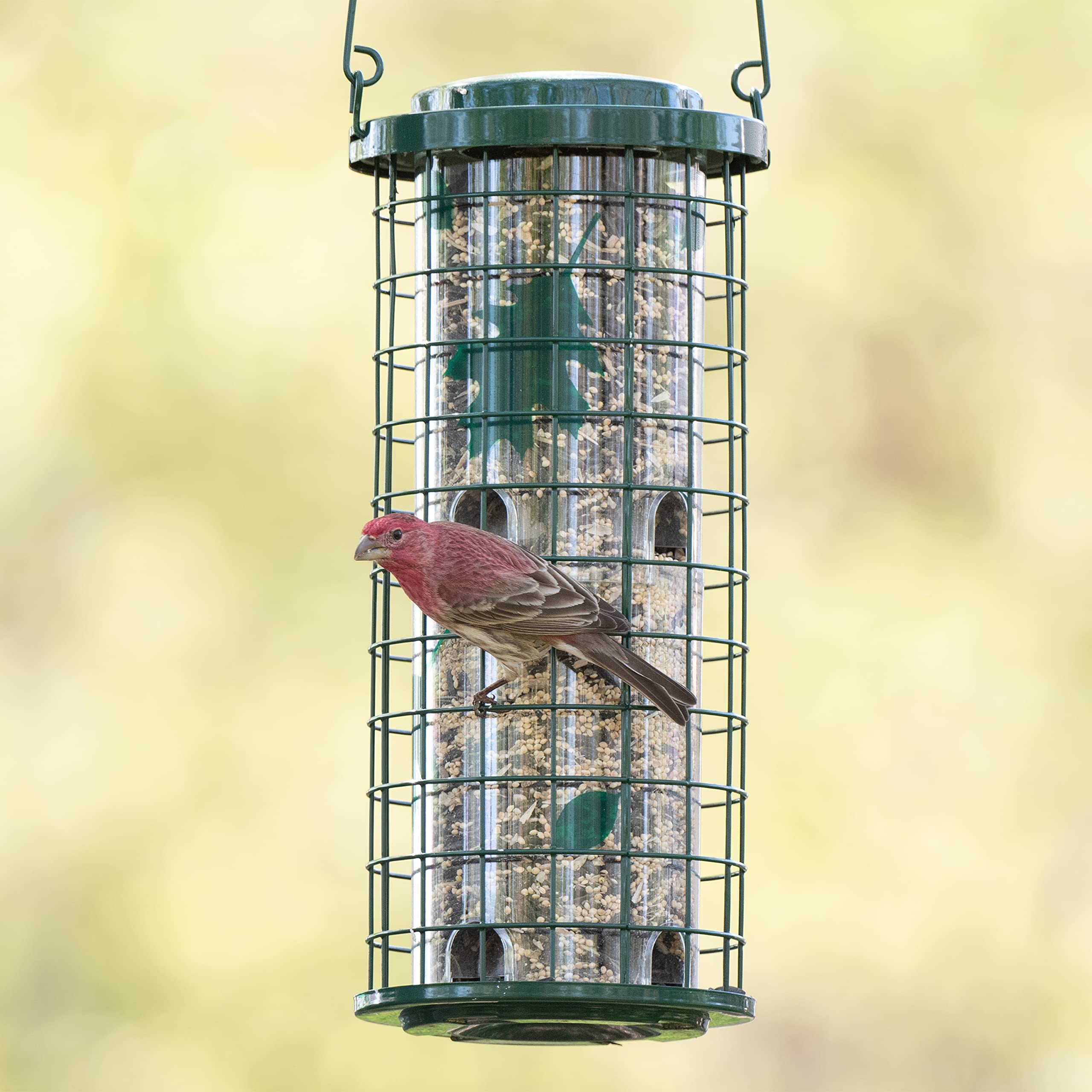Perky-Pet twist-lock lid detail for easy refilling and squirrel protection