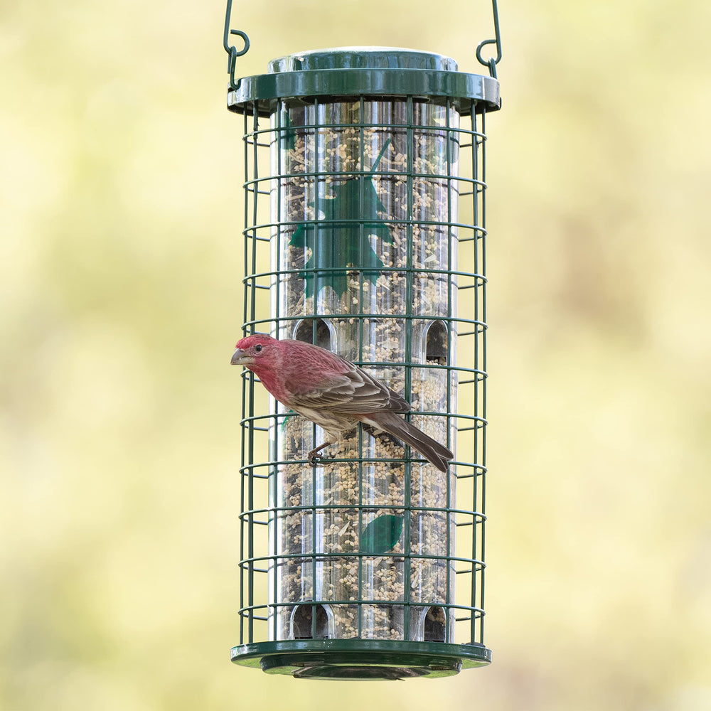 Perky-Pet twist-lock lid detail for easy refilling and squirrel protection