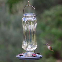 Perky-Pet close-up of four daisy feeding ports highlighting easy multi-bird access