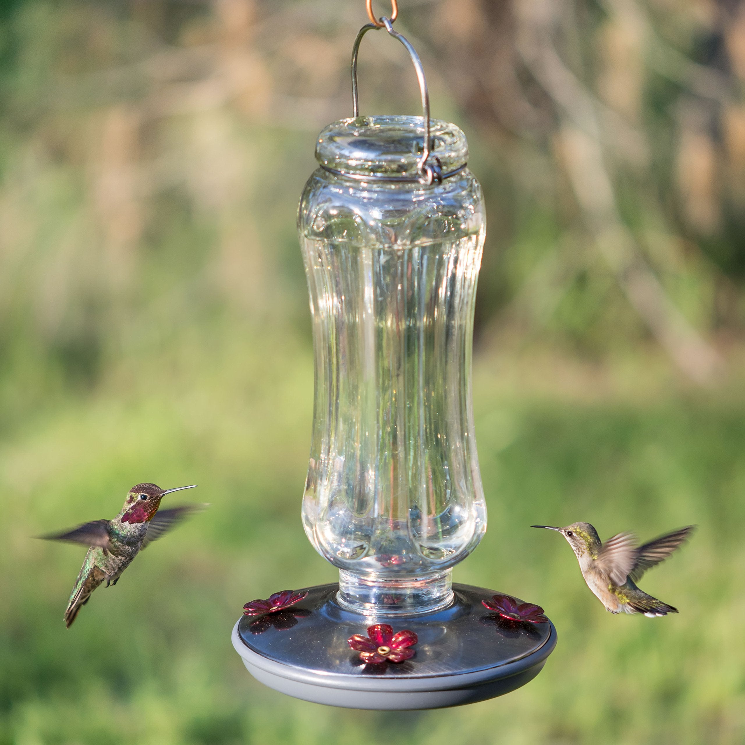 Perky-Pet hanging in garden illustrating outdoor placement and bird attraction
