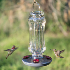 Perky-Pet hanging in garden illustrating outdoor placement and bird attraction