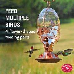 Perky-Pet tinted glass close-up revealing clear nectar-level visibility