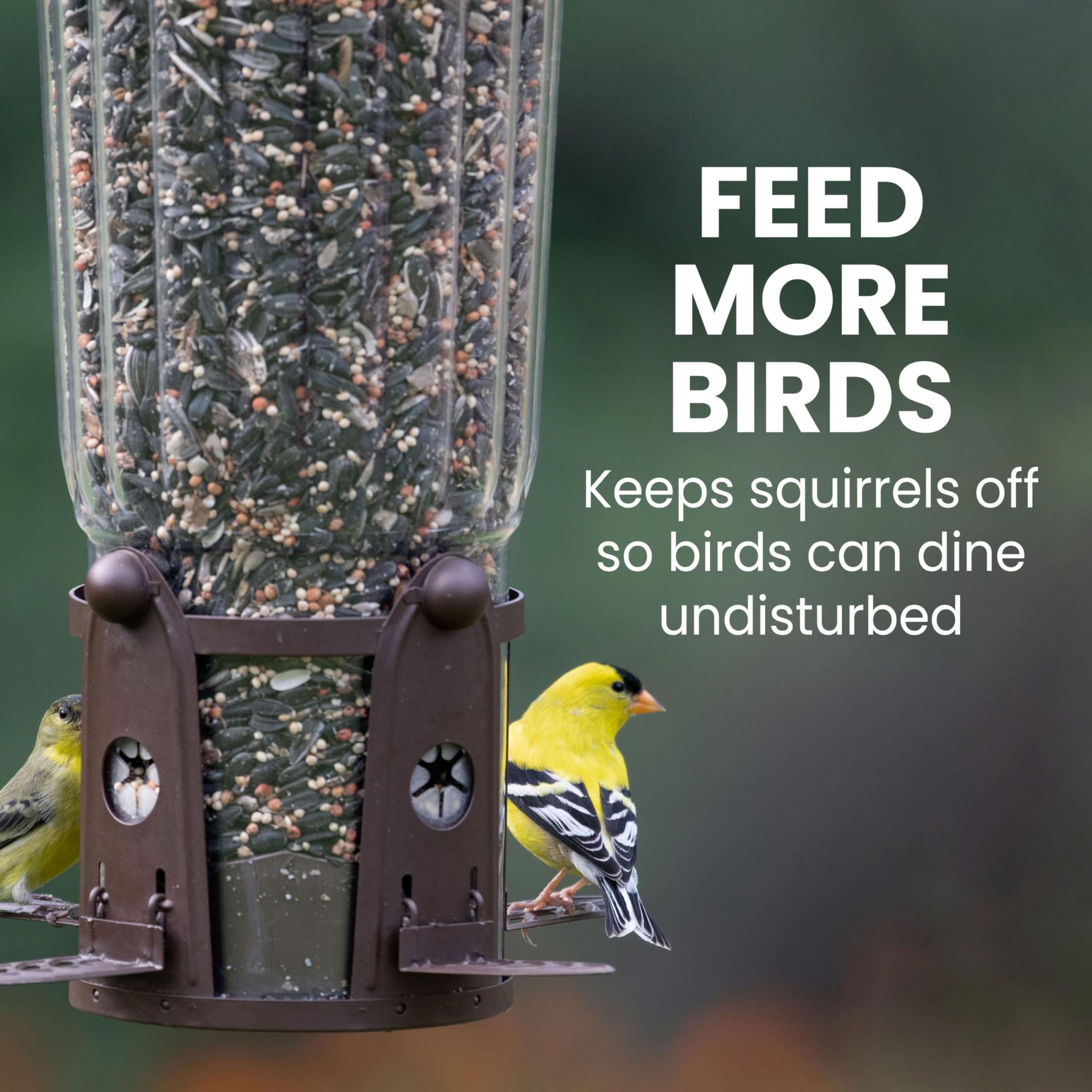 Perky-Pet metal finish detail showing weather-resistant construction for durability