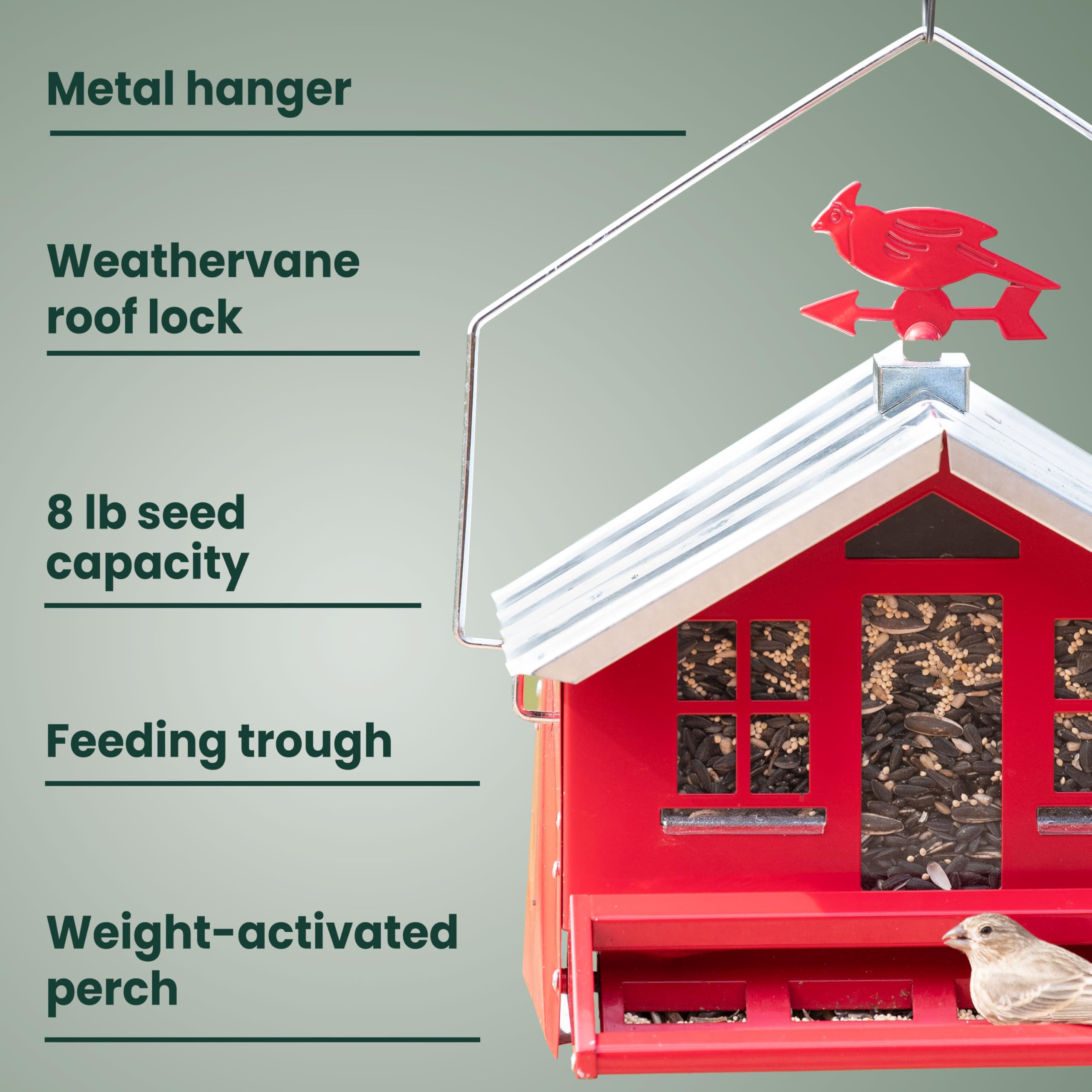 Perky-Pet close-up of weight-activated perch demonstrating squirrel resistance