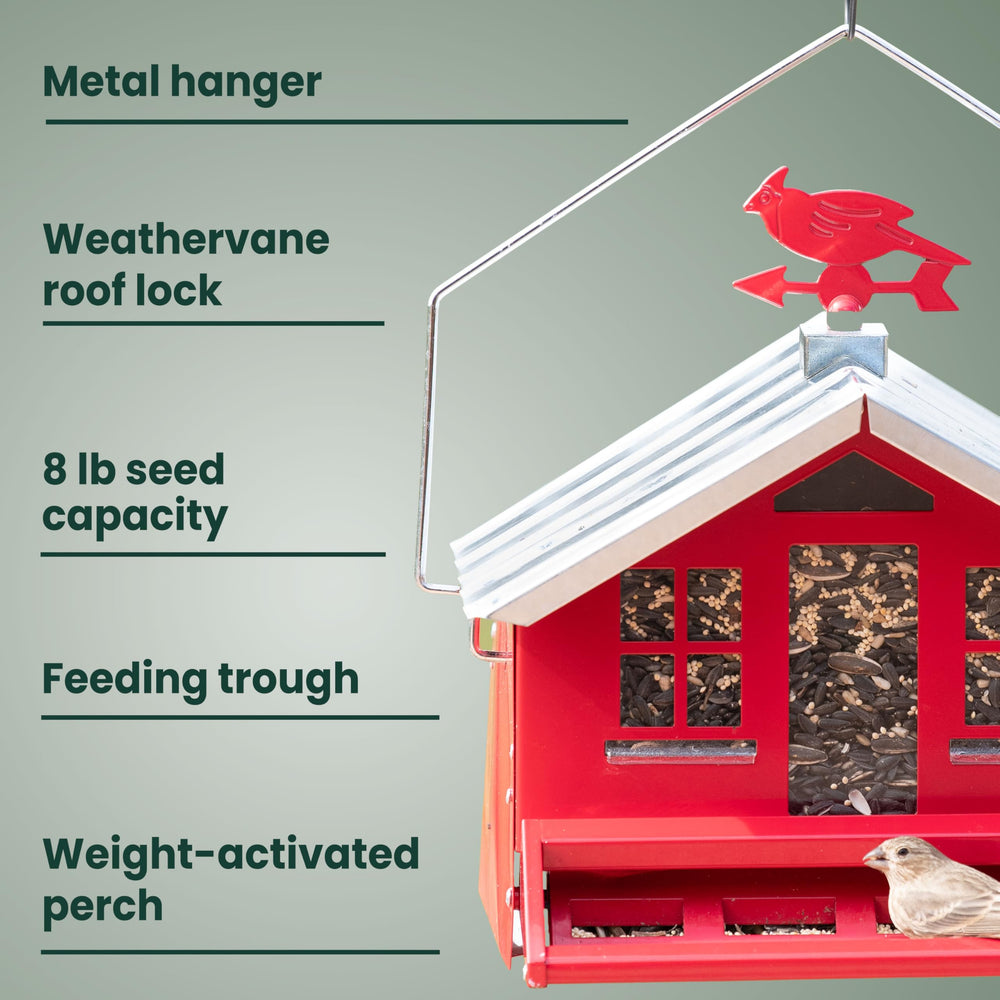 Perky-Pet close-up of weight-activated perch demonstrating squirrel resistance