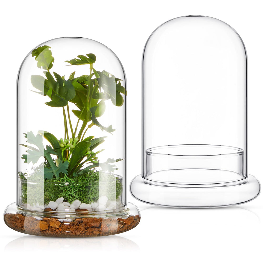 Perthlin glass terrarium cloche front view showing clear dome and matching base, protects plants