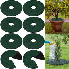 Peryiter front packaging showing 8 green and black double-sided rings, clean landscape look