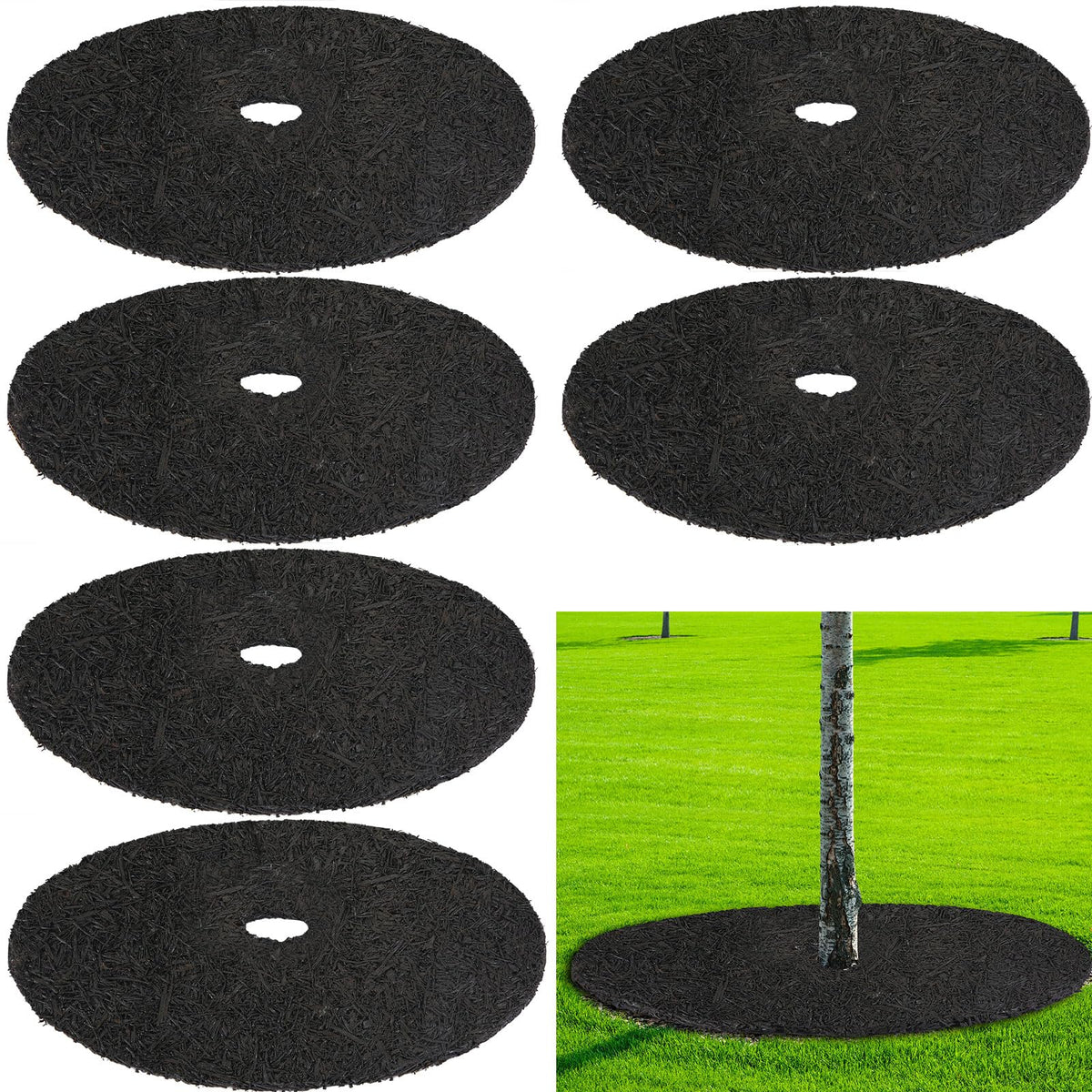 Peryiter front view showing six black rubber tree rings for neat weed control