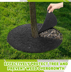 Peryiter ring installed around a tree base protecting roots and preventing weeds in yard