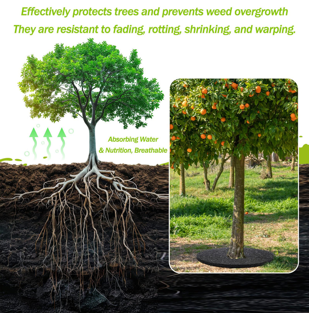 Peryiter in a landscaped yard demonstrating tidy tree bases and low-maintenance benefit