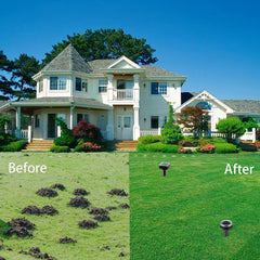 PestMentor next to ruler showing product scale for proper spacing and coverage